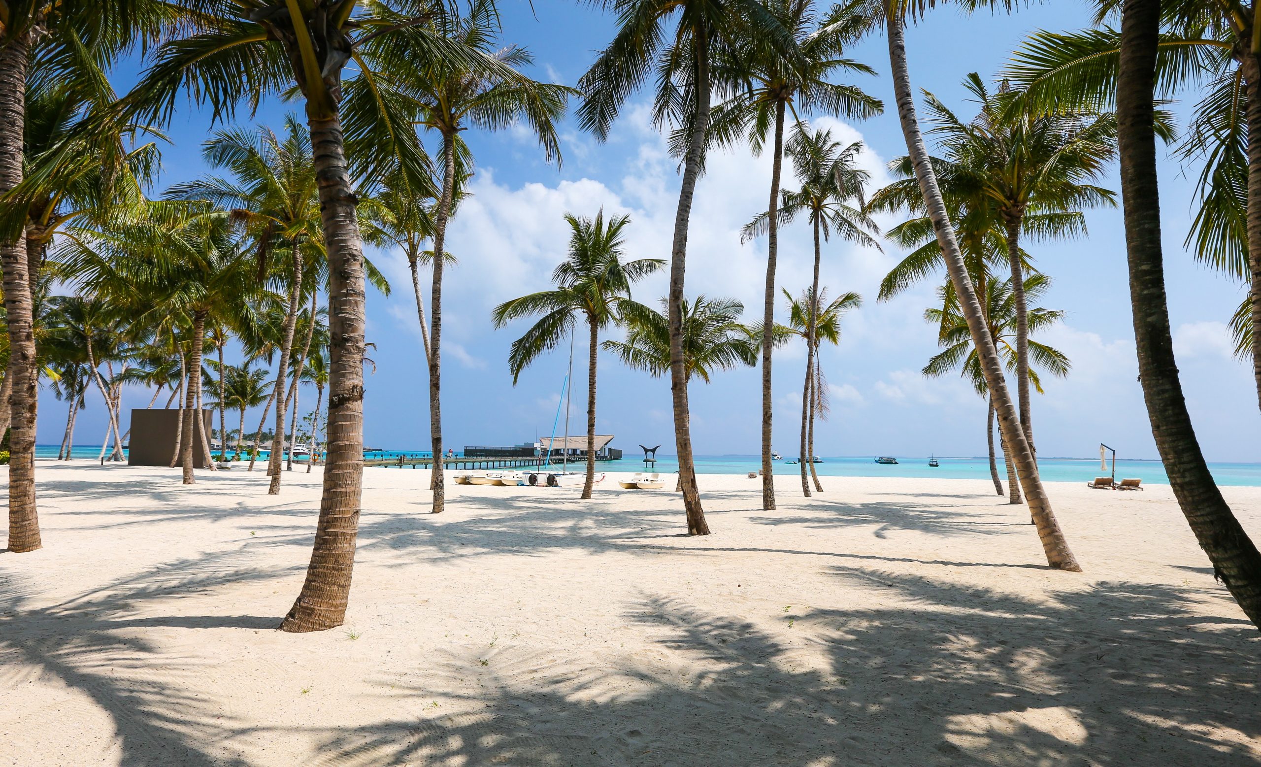 Beach scene